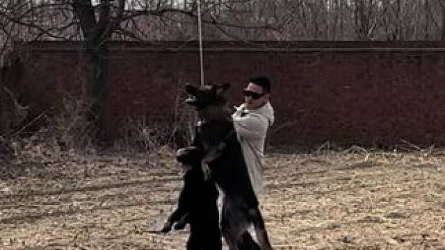 善于获取能量与快乐，可以是人，也可以是动物。