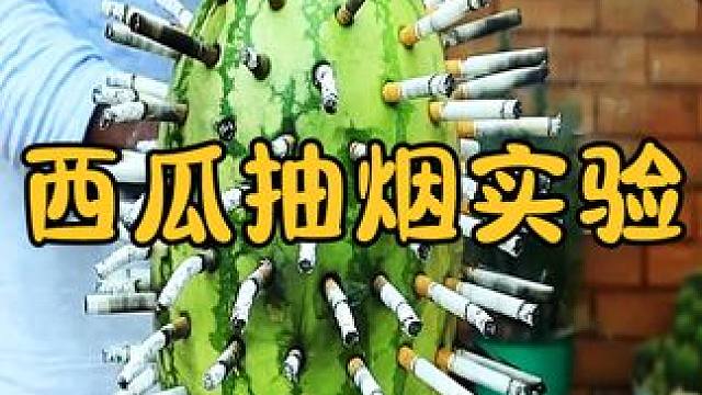 西瓜在抽完100根香烟，内部会发生什么变化？看完涨知识了 #涨知识 #科普一下