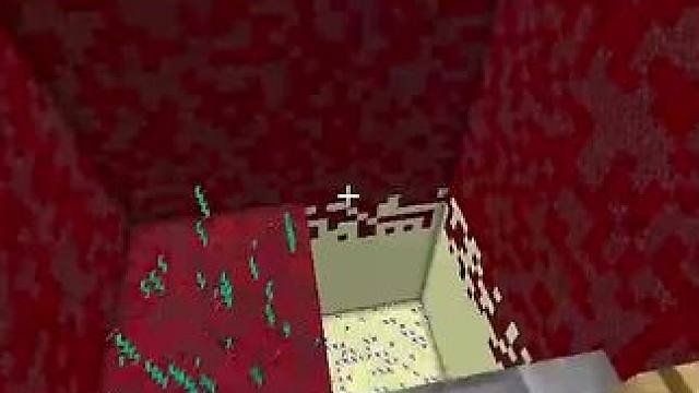 #我的世界 #Minecraft