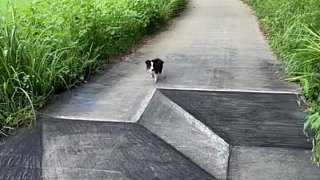 啥情況2777