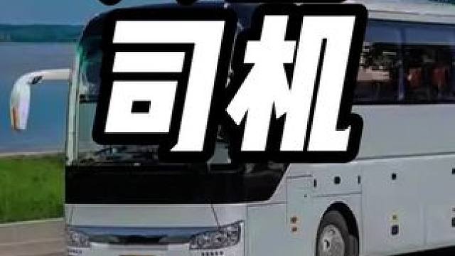 你知道景区的大巴车司机技术有多牛吗#大巴车 #观光车 #大巴司机