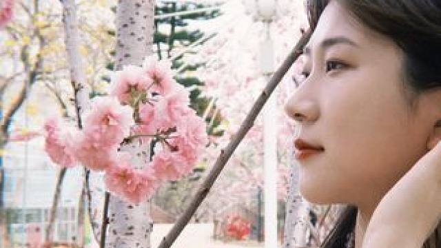 传说接住樱花花瓣，就可以获得幸福噢 #周末去哪玩 #赏花 #一起去春游 #春天 #旅行