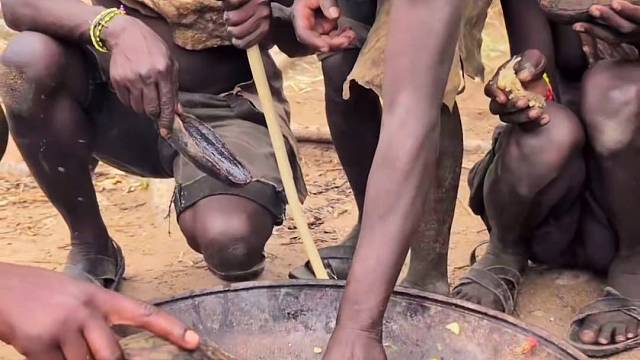 大表哥农农想跟嘟嘟抢食