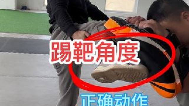 踢靶角度讲解#泰拳 #自由搏击 #拳击
