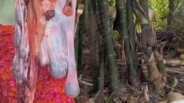 东南亚特色美食 #农村美食记录生活 #我的农村生活 #东南亚美食 #我的乡野山居生活 #真材实料才能