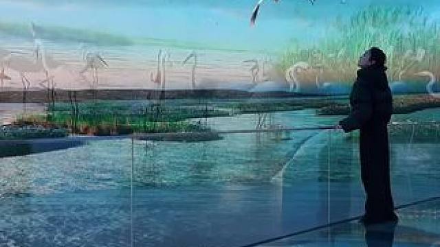 一个视频告诉南昌周边严重被低估的候鸟小镇 超详细吴城候鸟小镇攻略（保姆级版）
路线图给大家都标在视频