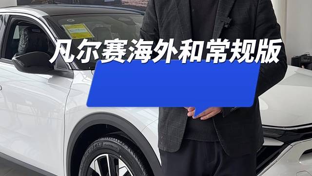 凡尔赛海外版和常规版一级车有什么区别