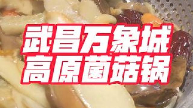 怒干五碗！差点把锅底给抽干。。 #大自然的选品官 #山野选品美学 #高品质菌火锅来蘑界 #深圳超好食