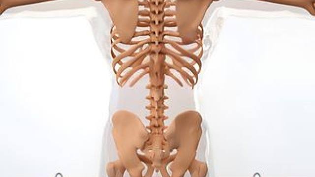 #健康科普 #腰椎 #腰背疼痛部位对照表 #骨科专家尹辛成