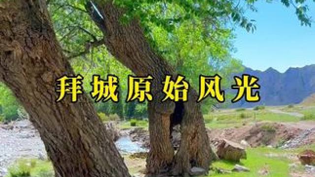 我始终认为遇见好看的风景 就要分享给你 #新疆 #治愈系风景 #大山深处自然美