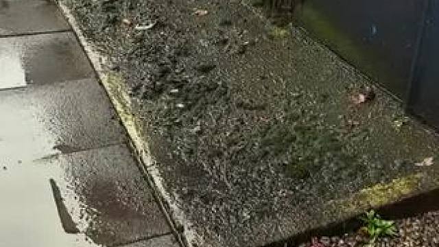 我发布了一个新视频，快来围观吧！