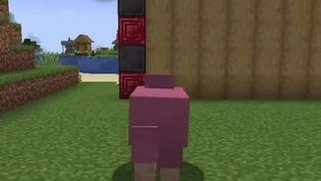 #我的世界 #Minecraft