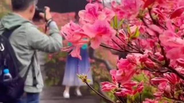 #内容启发搜索 你知道什么叫灵魂伴侣吗？爱你不为难你，懂你不伤害你，你累他心疼你，你哭他安慰你。# 