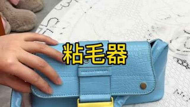 粘毛器 神奇的粘毛器!不仅能轻松清理头发和猫猫狗狗掉落的毛发，水一冲就干净能继续用了 #粘毛神器  
