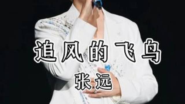 “这一路跌跌撞撞 回不去的 又何止是梦” #张远#追风的飞鸟#现场版live#张远追风的飞鸟#张远白