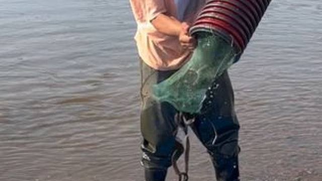 #户外捕鱼 #好多鱼