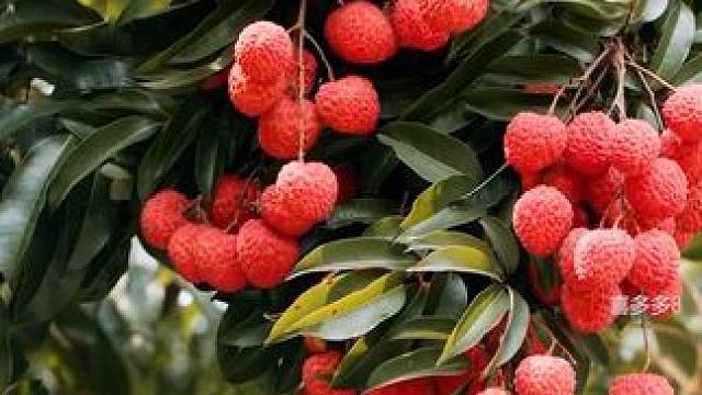 因为和父亲吵架，他居然成为了富二代 #夏日必备 #好喝不贵 #谁懂啊真的很好喝 #仙女都在喝什么 #饮品推荐