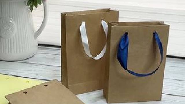 沉浸式手工制作vlog｜精致女人沉浸式自制纸袋子vlog～✨☺️ 
#解压视频 #自制纸袋子 #纸袋