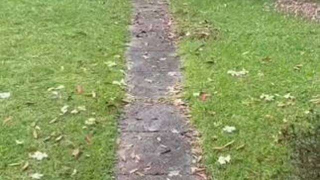 我发布了一个新视频，快来围观吧！