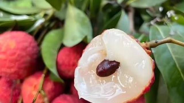 各省荔枝的神仙吃法，你喜欢哪一种？ #荔枝 #NFC果汁