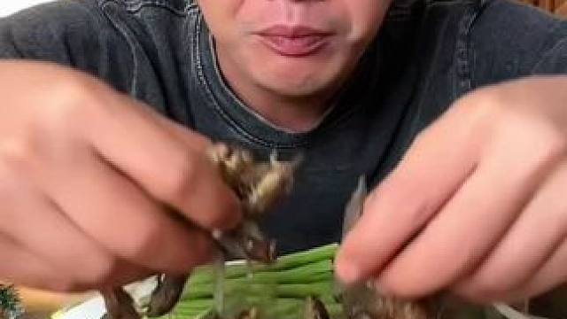 泰国特色昆虫宴 #内容启发搜索 #萤火计划 #我的农村生活 #农村美食记录生活 #舌尖上的美食