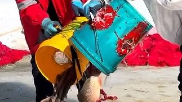 #户外捕鱼 #好多鱼