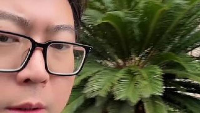 感谢电脑爱好者你们这7年的陪伴!你们一直在我身边!谢谢 #干货 #电脑 #显卡 #实话实说 #行情分