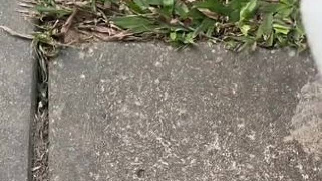 瓷砖强力清洁剂，解决反碱，发黑，发黄，铁锈等问题，厕所清洁的好帮手！