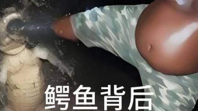 鳄鱼还能做什么？ 