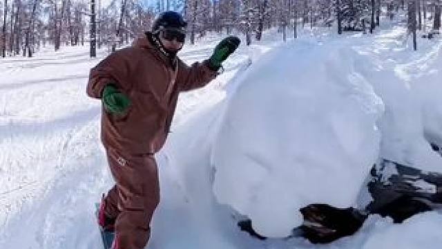单人5分钟速通小狼树林，#滑雪 #雪地里撒欢 #治愈系风景 #阿勒泰