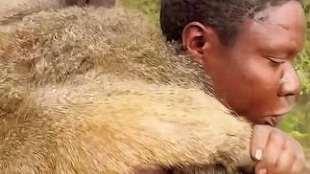 哈扎比猎人，辛苦狩猎的一天！ #纪录片 #哈扎比部落 #原始部落