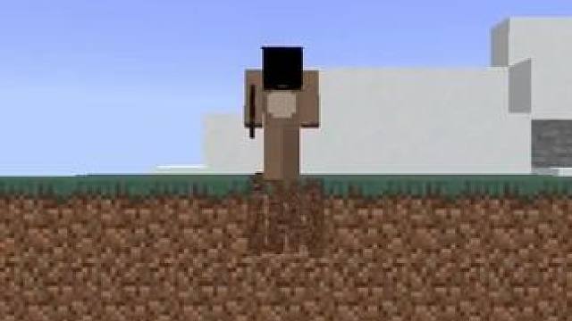 #我的世界 #Minecraft