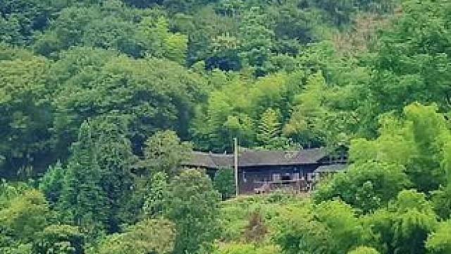 半山深处有人家，种菜养鸡远繁华，无为不做俗尘世，清煮岁月慢煮茶！#大山深处 #山里生活 #大山里的原