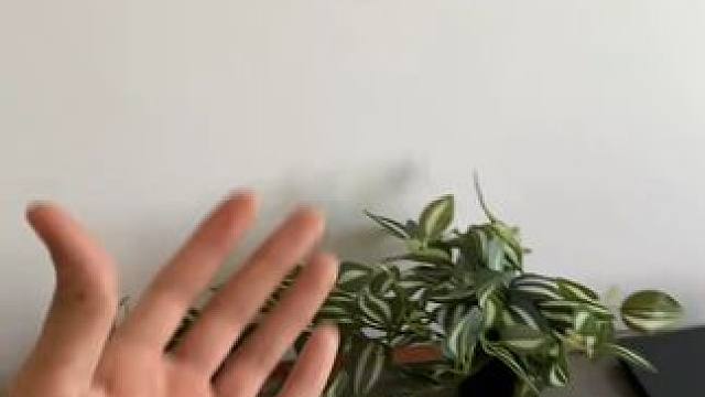 没有男生会拒绝我的世界冰箱贴吧~ #玩个很新的东西 #我的世界minecraft