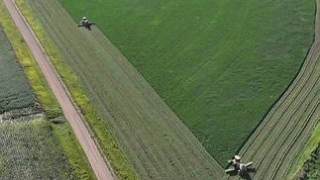 美国得克萨斯州机械收割青储饲料。 #瓜子二手车 #乡野田间 #解压视频 #极度舒适 #新农人计划