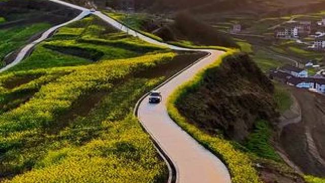 走在春天的油菜花田里