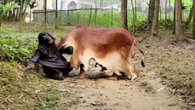 哈哈 #田园生活乐趣多 #没忍住笑出了声 #我的农村生活 #看一遍笑一遍 #哈哈哈哈哈哈我要笑死了