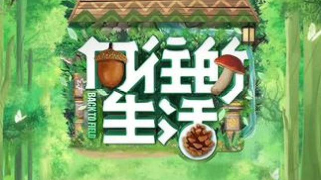 黄老师往饭上撒油菜花，把李诞都看傻了？#向往的生活