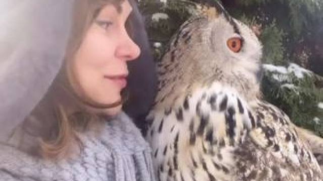 漂亮的宠物雕鸮 #国外视频分享 #奇妙的动物 #宠物