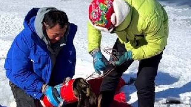 #户外捕鱼 #好多鱼