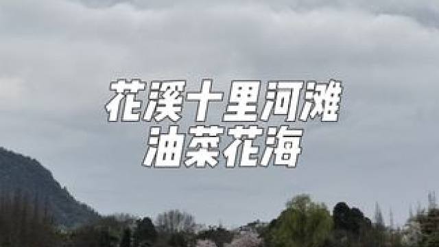 分享一个贵阳周边适合踏春赏花周末亲子游的好地方 #踏春赏花 #创作者中心 #创作灵感 #打卡贵州的春