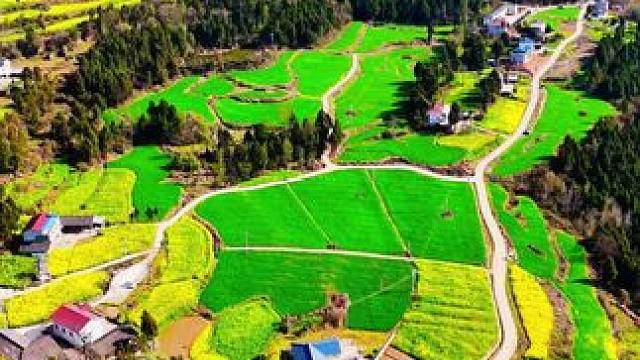 春天大山深处的美丽画卷#春来广元#千村万象乡影广元#故乡的原风景 #记录家乡美景 #看见不一样的四川