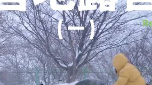 营地露营（一）#露营 #助眠 #解压 #萌宠 #户外露营