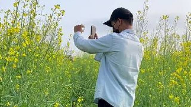 看到油菜花试试这样拍太美了#手机摄影 #拍摄技巧 #春暖花开奔你而来 #治愈系 #治愈系风景