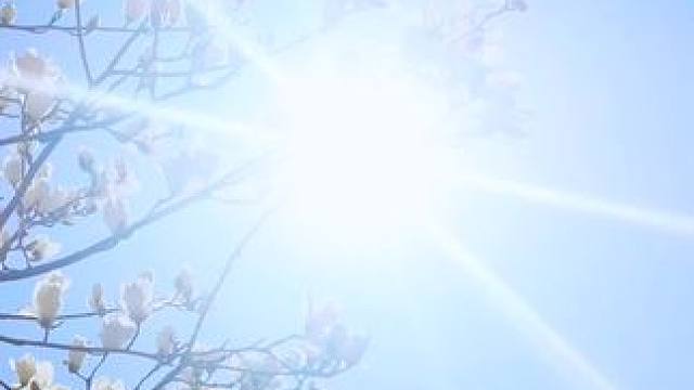 #春暖花开的季节到了 ！