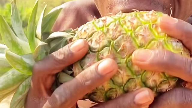 餐后水果是奥萨德的必备