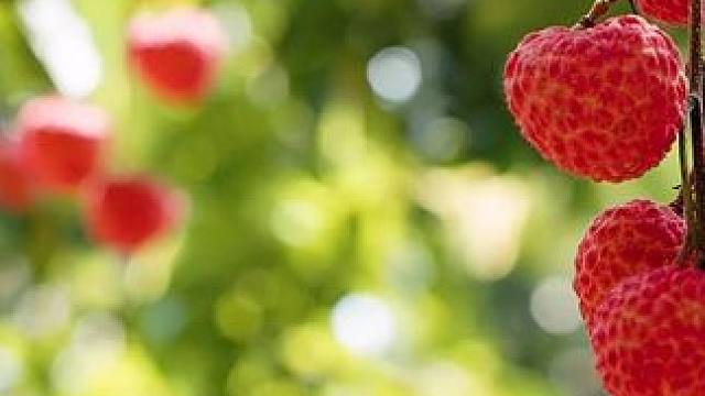 两大桶足足5斤竟然才这个价，薅到纯纯就是捡漏 #仙女都在喝什么 #夏日必备 #好喝不贵 #谁懂啊真的很好喝 #饮品推荐