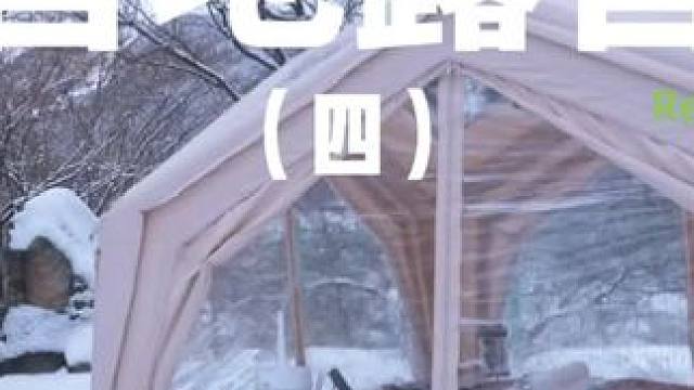 营地露营（四）#露营 #助眠 #解压 #萌宠 #户外露营