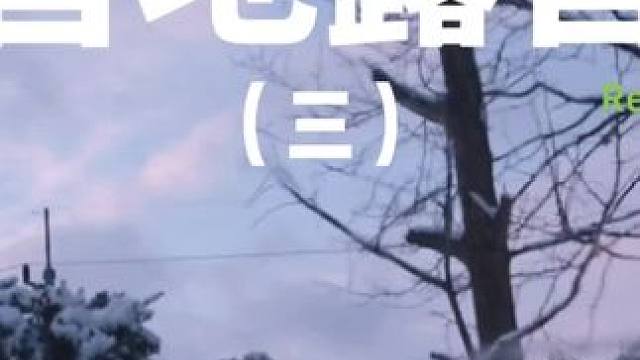 营地露营（三）#露营 #助眠 #解压 #萌宠 #户外露营