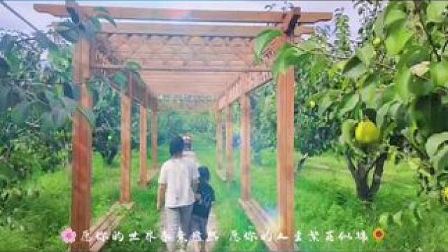 #田园生活乐趣多